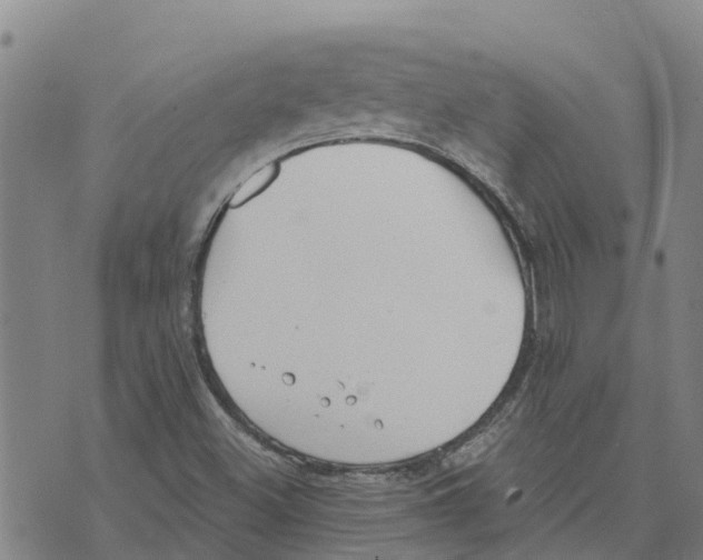 X0000073701500200608311716