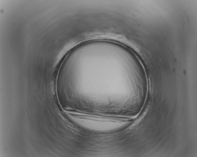 X0000073701501200608311716