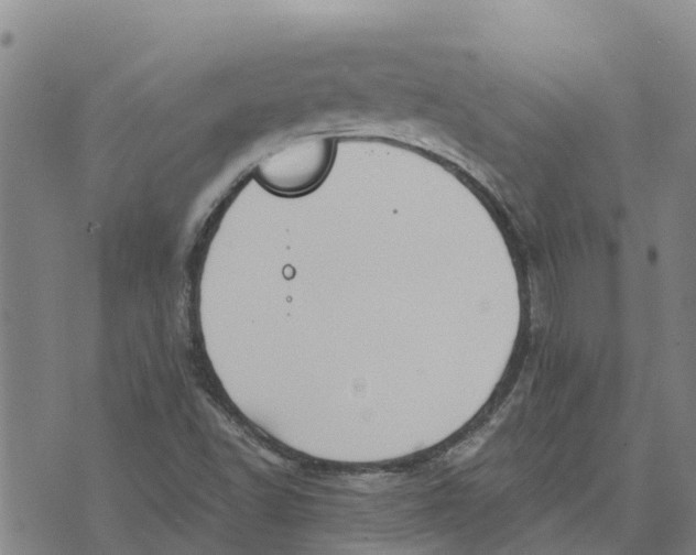 X0000073701502200608311716