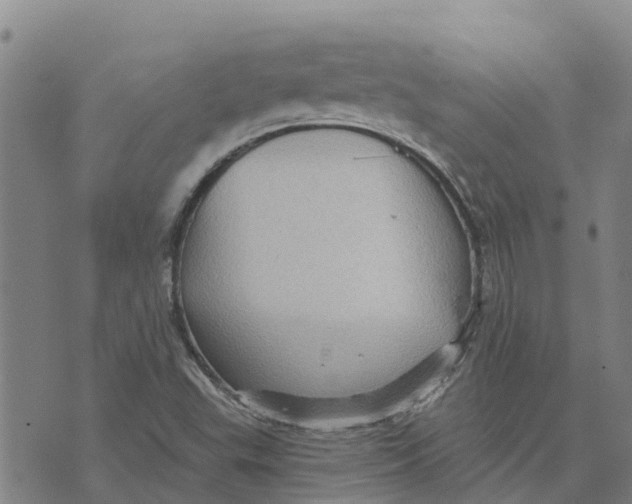 X0000073701503200608311716