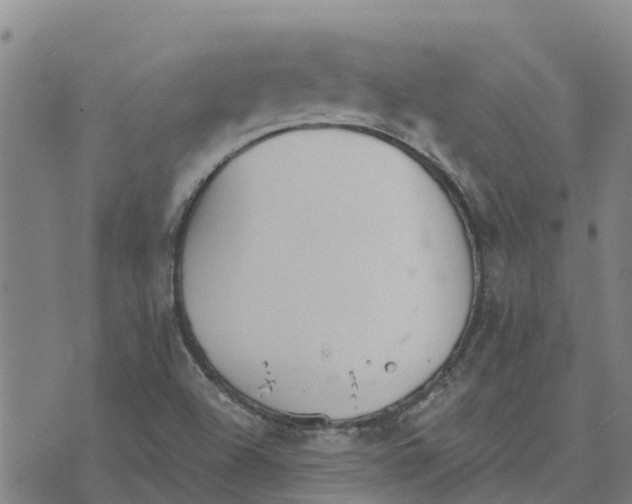 X0000073701504200608311716