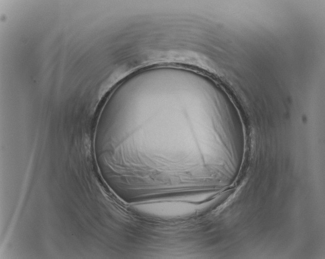 X0000073701505200608311717