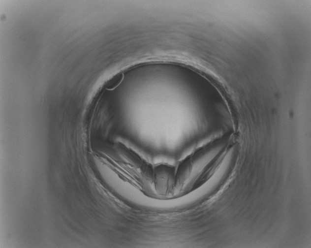 X0000073701506200608311717