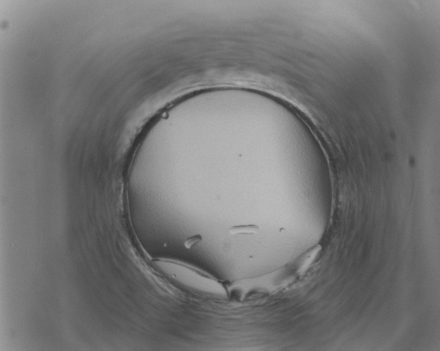 X0000073701507200608311717