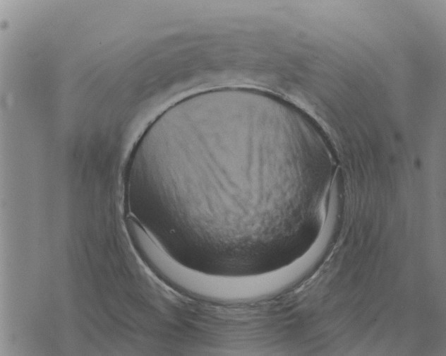 X0000073701508200608311717