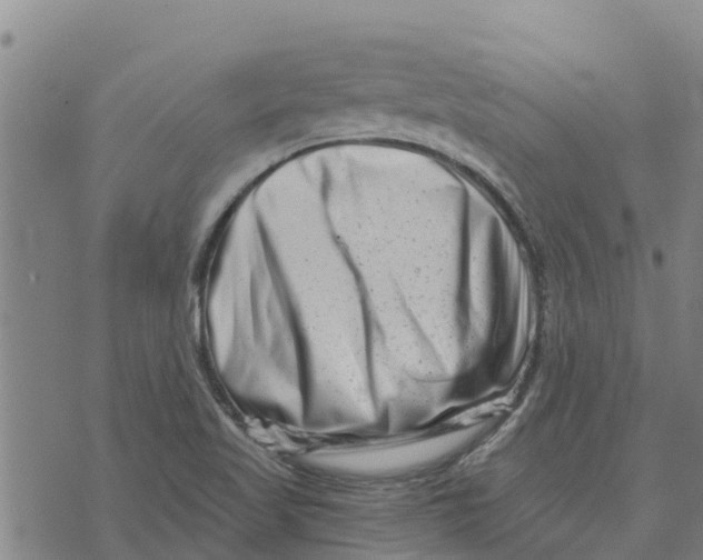 X0000073701509200608311717