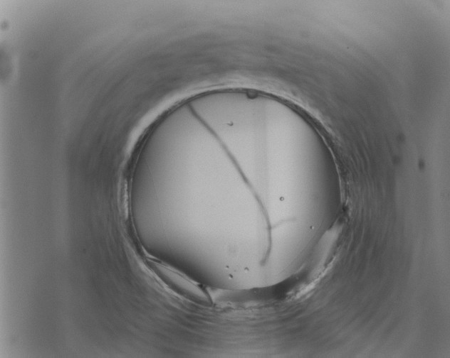 X0000073701510200608311717