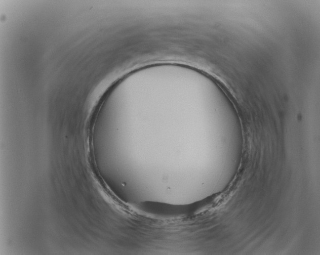 X0000073701511200608311717