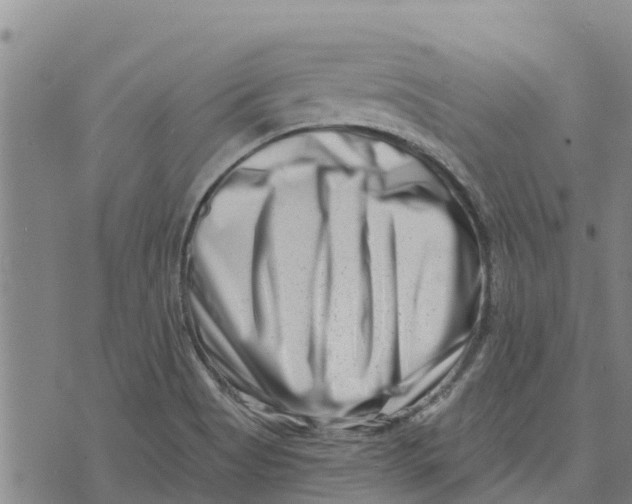 X0000073701513200608311717