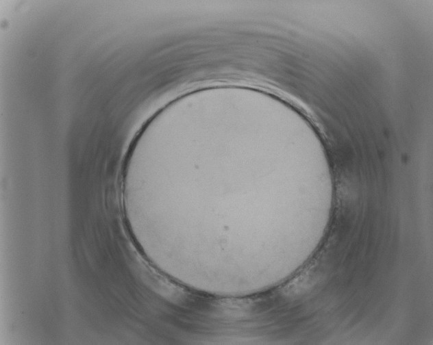 X0000073701514200608311717