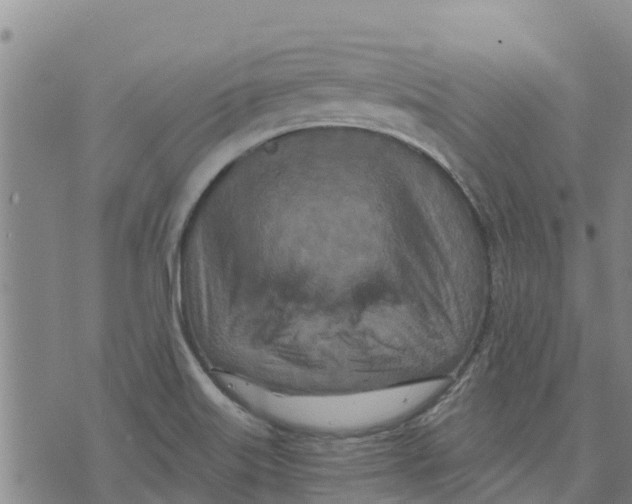 X0000073701515200608311717