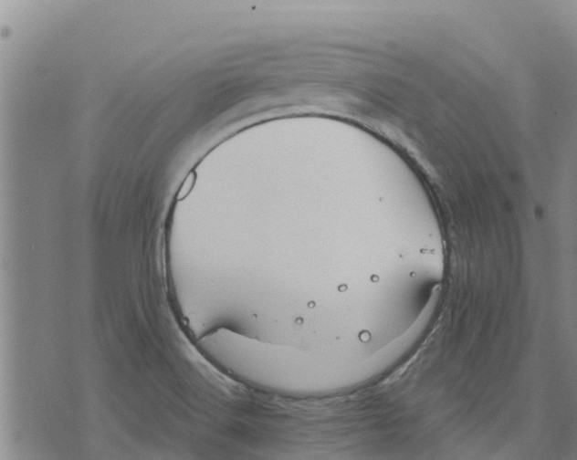 X0000073701516200608311717