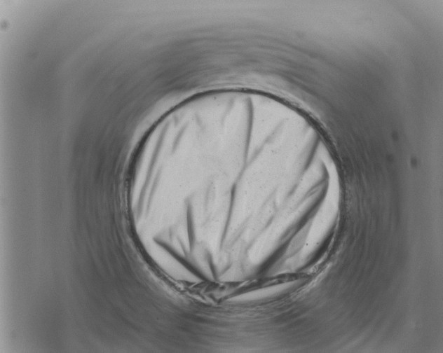 X0000073701517200608311717