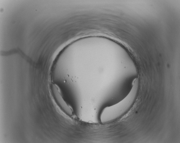 X0000073701518200608311717