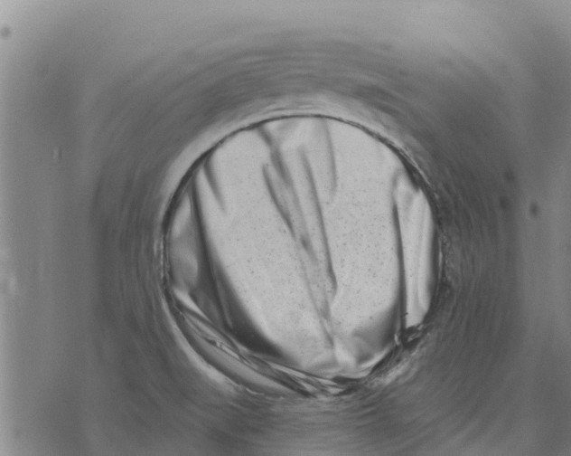 X0000073701519200608311717