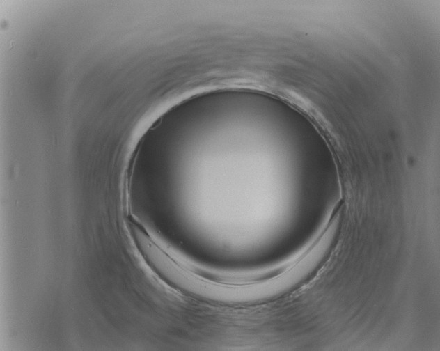 X0000073701520200608311717