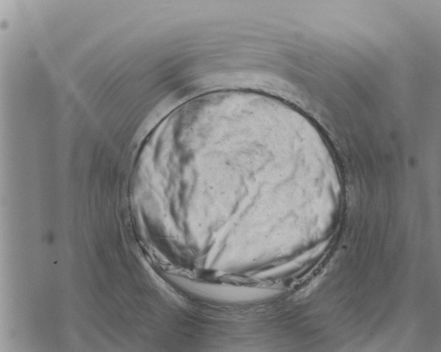 X0000073701521200608311717