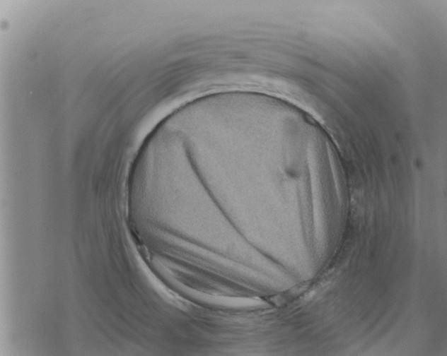 X0000073701523200608311717