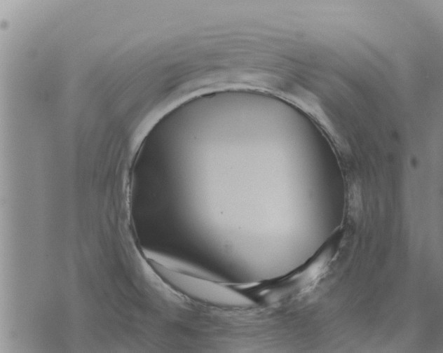 X0000073701524200608311717