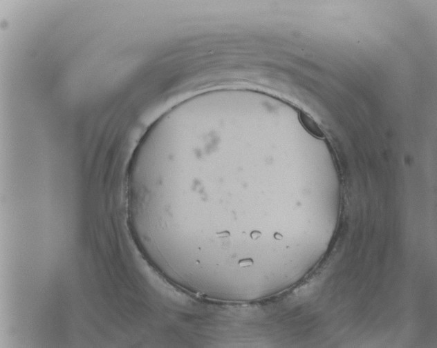 X0000073701526200608311717