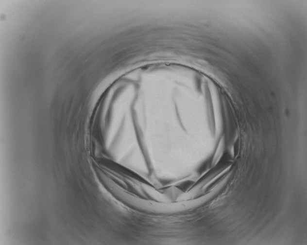 X0000073701527200608311717