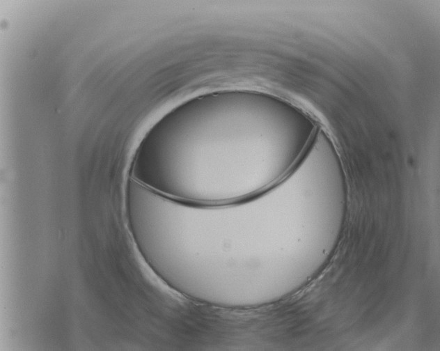 X0000073701528200608311717