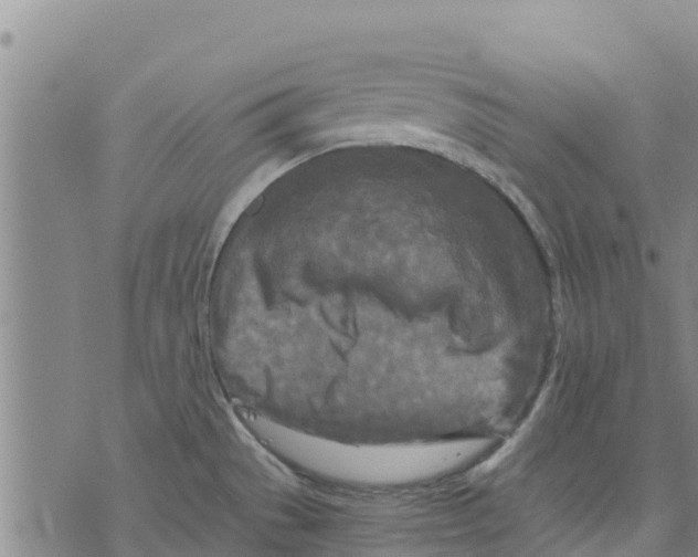 X0000073701529200608311717