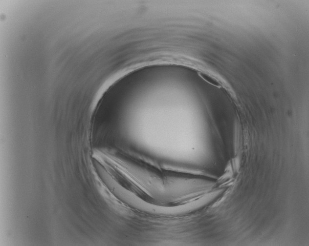 X0000073701530200608311717