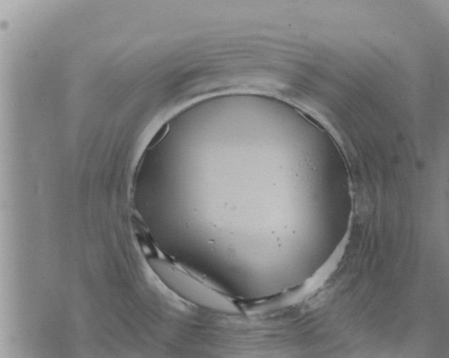 X0000073701532200608311717