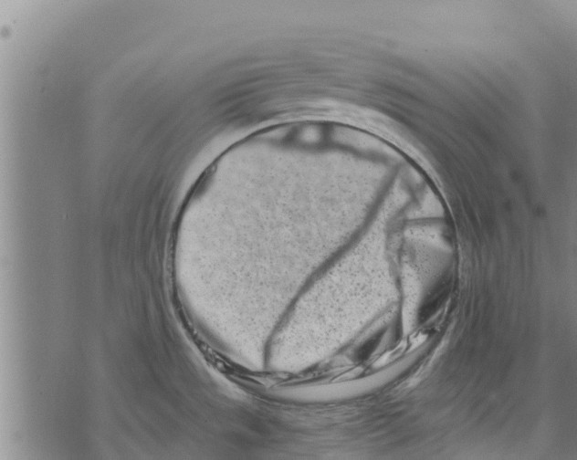 X0000073701533200608311717