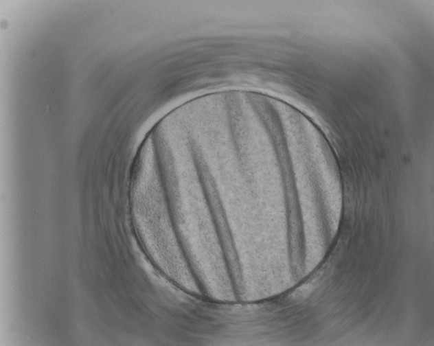 X0000073701534200608311717