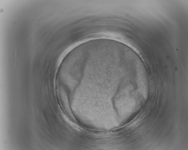 X0000073701535200608311717