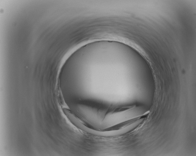 X0000073701536200608311717