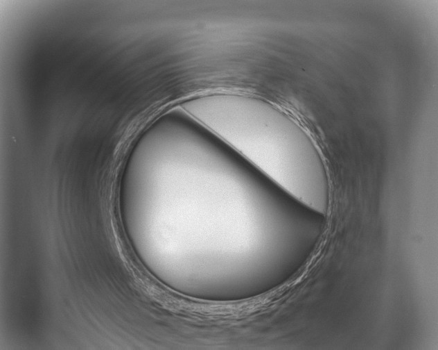 X0000073710001200608031052