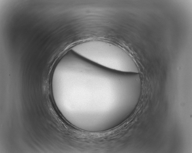 X0000073710002200608031052