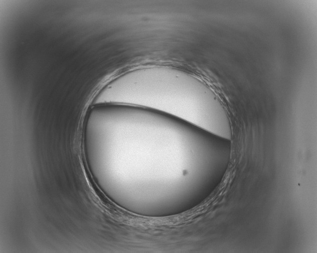 X0000073710003200608031052