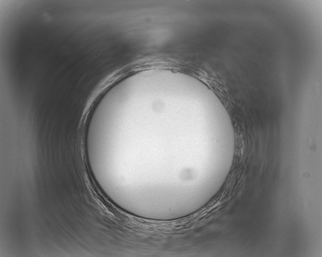 X0000073710004200608031052