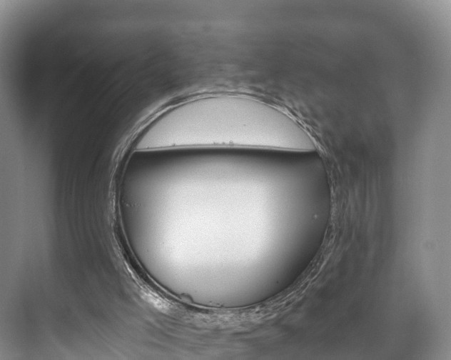 X0000073710005200608031052