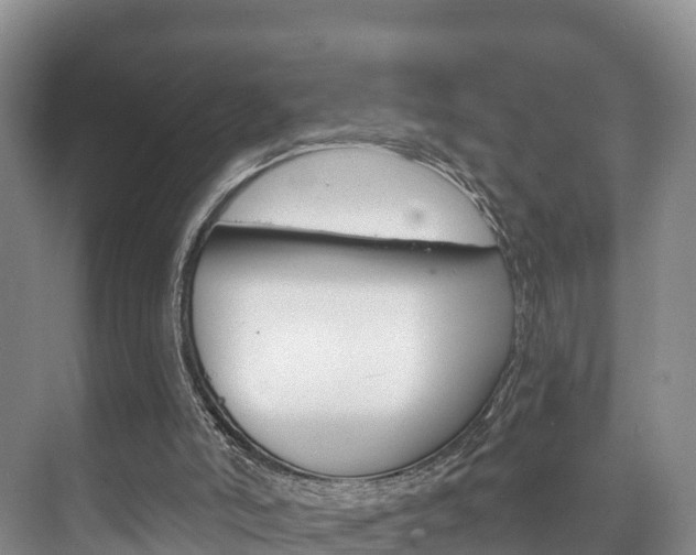 X0000073710006200608031052