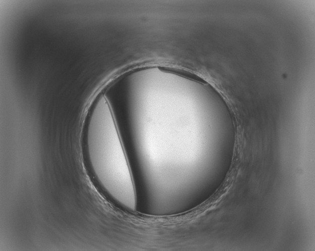 X0000073710007200608031052