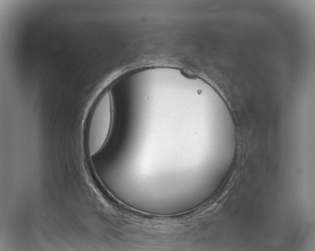 X0000073710008200608031052