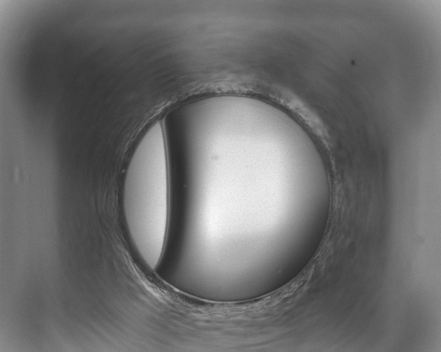 X0000073710009200608031052