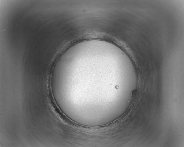 X0000073710010200608031052