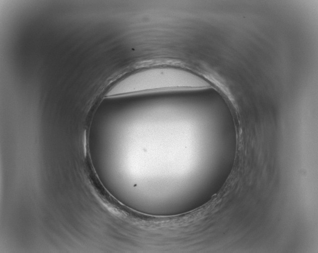 X0000073710013200608031052