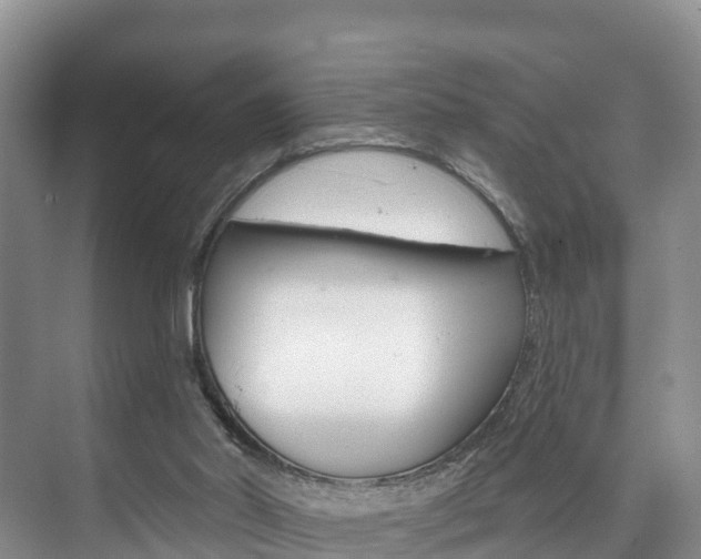 X0000073710014200608031052