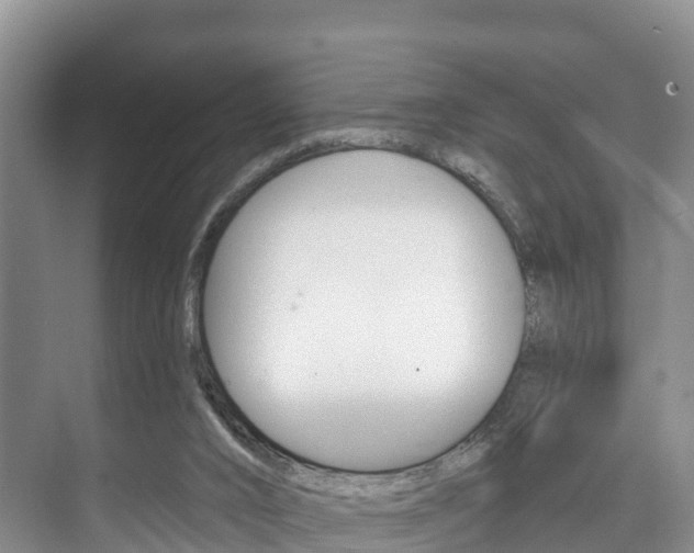 X0000073710016200608031052