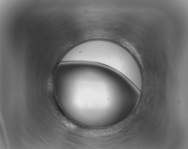 X0000073710017200608031052