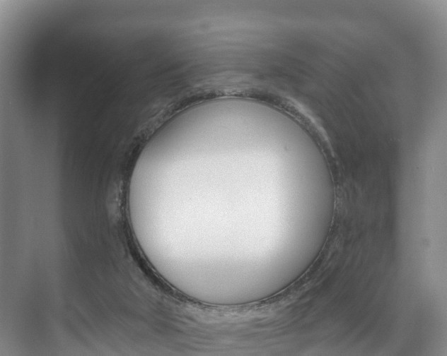 X0000073710018200608031052