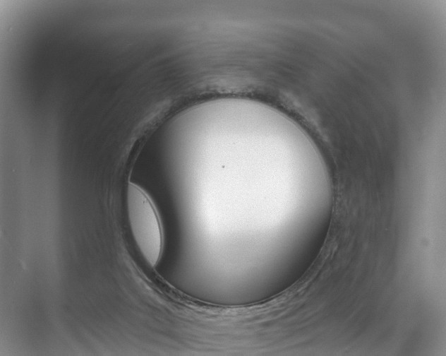 X0000073710019200608031052