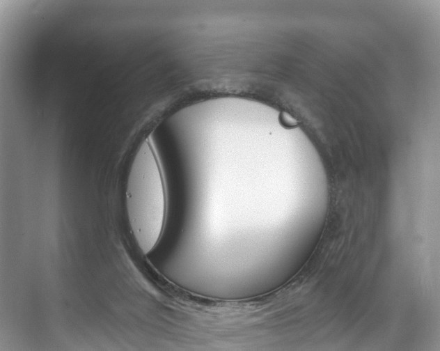 X0000073710020200608031052